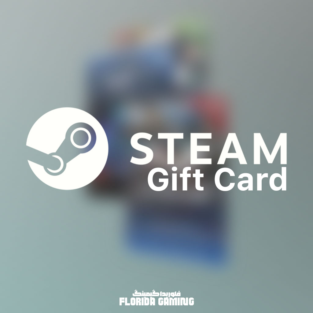 steamgiftcardfg2
