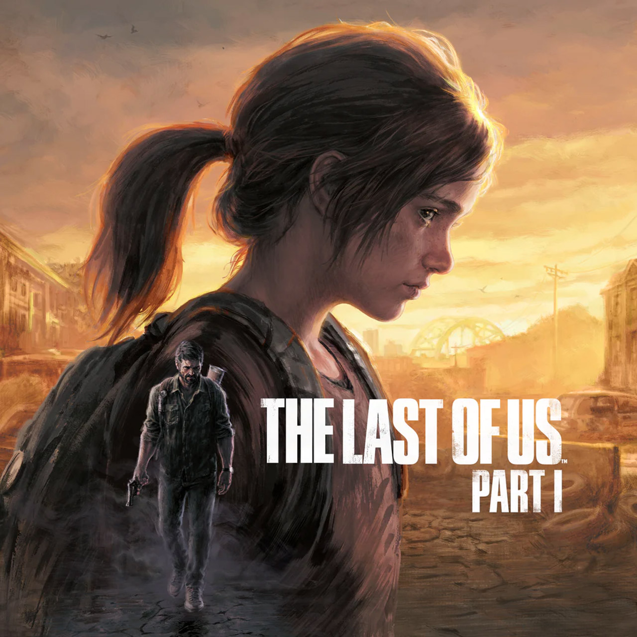 The Last of Us Part I pc org 11